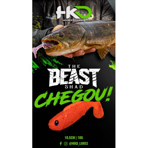 Isca HKD Lures Beast Shad 10.5 10gr 5UN